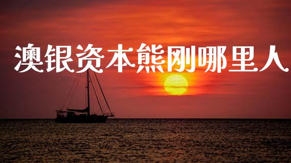 澳银资本熊刚哪里人_https://www.ltsssb.com_期货在线_第1张
