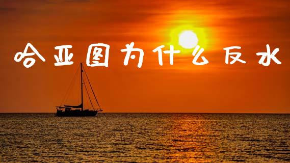 哈亚图为什么反水_https://www.ltsssb.com_期货在线_第1张