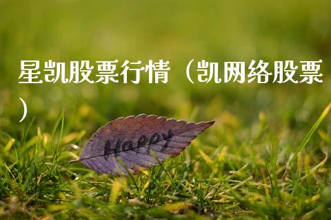 星凯股票行情（凯网络股票）_https://www.ltsssb.com_新股数据_第1张