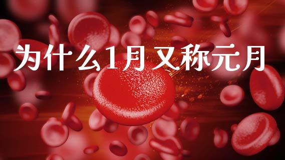 为什么1月又称元月_https://www.ltsssb.com_期货密码_第1张