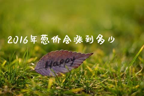 2016年葱价会涨到多少_https://www.ltsssb.com_基金频道_第1张
