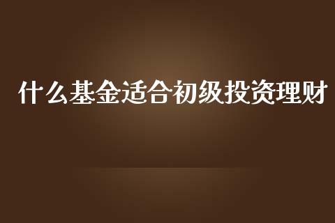 什么基金适合初级投资理财_https://www.ltsssb.com_基金频道_第1张