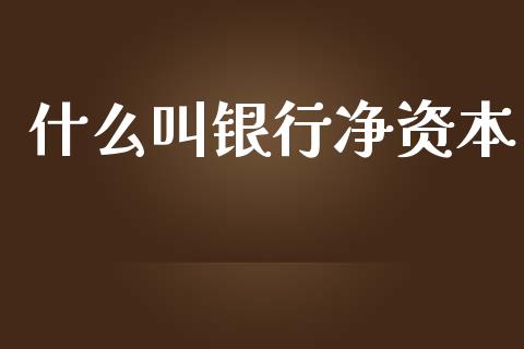 什么叫银行净资本_https://www.ltsssb.com_新股数据_第1张