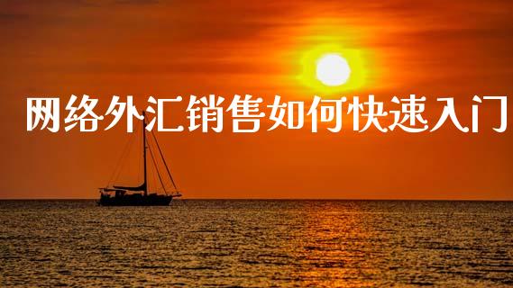 网络外汇销售如何快速入门_https://www.ltsssb.com_新股数据_第1张