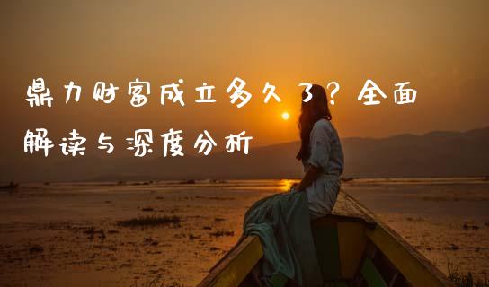 鼎力财富成立多久了？全面解读与深度分析_https://www.ltsssb.com_新股数据_第1张