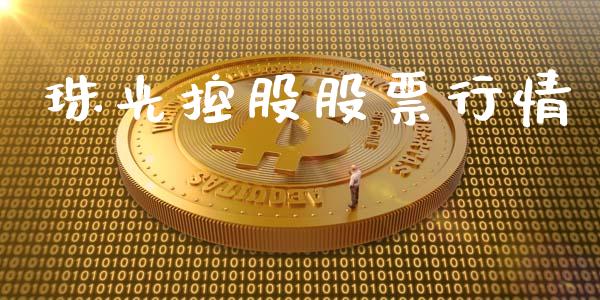 珠光控股股票行情_https://www.ltsssb.com_股市分析_第1张