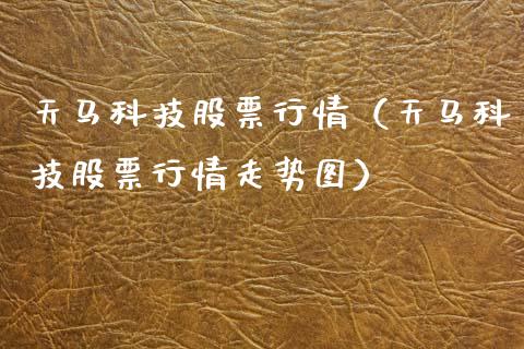 天马科技股票行情（天马科技股票行情走势图）_https://www.ltsssb.com_股票理论_第1张