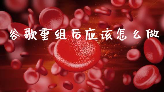 谷歌重组后应该怎么做_https://www.ltsssb.com_新股数据_第1张