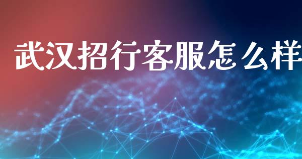 武汉招行客服怎么样_https://www.ltsssb.com_股票理论_第1张