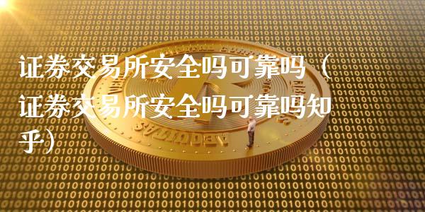证券交易所安全吗可靠吗（证券交易所安全吗可靠吗知乎）_https://www.ltsssb.com_期货密码_第1张