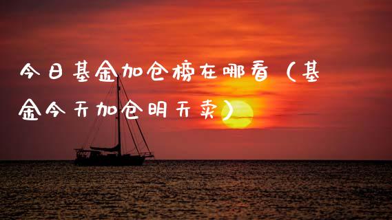 今日基金加仓榜在哪看（基金今天加仓明天卖）_https://www.ltsssb.com_国际财经_第1张