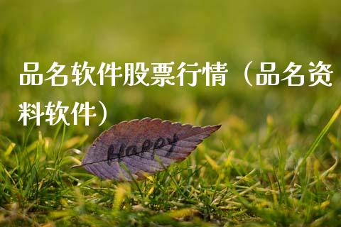 品名软件股票行情（品名资料软件）_https://www.ltsssb.com_股市分析_第1张