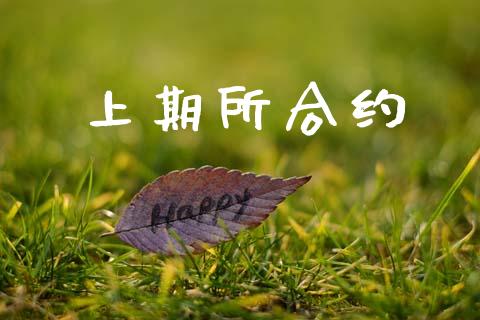 上期所合约_https://www.ltsssb.com_新股数据_第1张