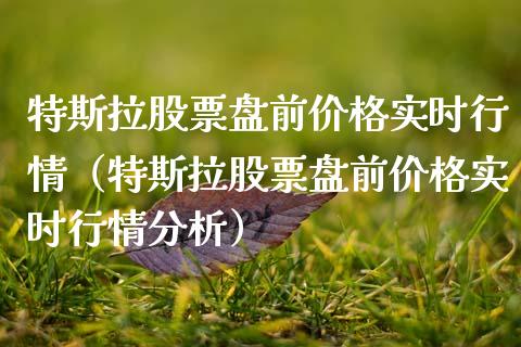 特斯拉股票盘前价格实时行情（特斯拉股票盘前价格实时行情分析）_https://www.ltsssb.com_新股数据_第1张