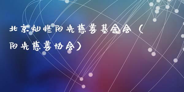 北京灿烂阳光慈善基金会（阳光慈善协会）_https://www.ltsssb.com_国际财经_第1张