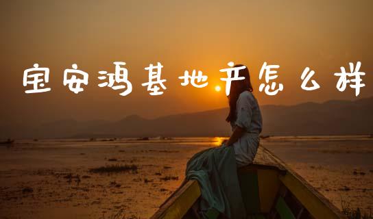 宝安鸿基地产怎么样_国际财经_第1张_IT财经网 宝安鸿基地产怎么样_https://www.ltsssb.com_国际财经_第1张
