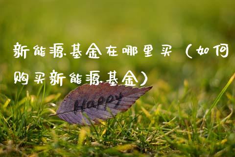 新能源基金在哪里买（如何购买新能源基金）_https://www.ltsssb.com_基金频道_第1张