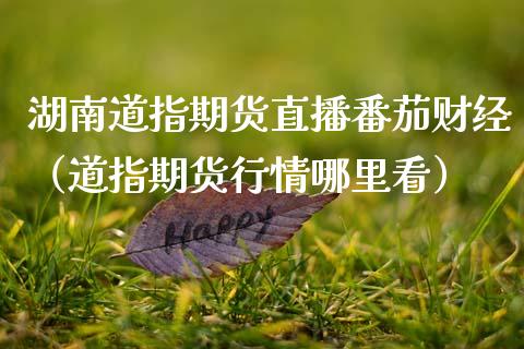 湖南道指期货直播番茄财经（道指期货行情哪里看）_https://www.ltsssb.com_期货在线_第1张
