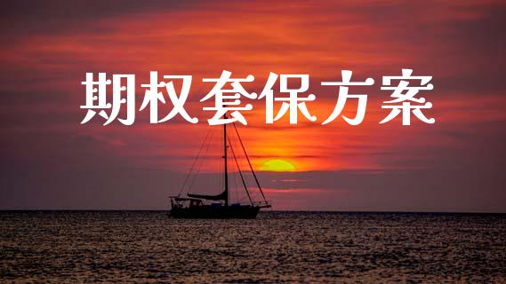期权套保方案_https://www.ltsssb.com_期货在线_第1张