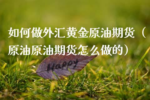 如何做外汇黄金原油期货（原油原油期货怎么做的）_https://www.ltsssb.com_期货密码_第1张