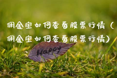 佣金宝如何查看股票行情（佣金宝如何查看股票行情）_https://www.ltsssb.com_股市分析_第1张
