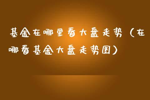 基金在哪里看大盘走势（在哪看基金大盘走势图）_https://www.ltsssb.com_基金频道_第1张
