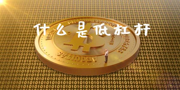 什么是低杠杆_股票理论_第1张_IT财经网 什么是低杠杆_https://www.ltsssb.com_股票理论_第1张