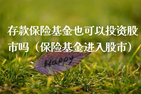 存款保险基金也可以投资股市吗（保险基金进入股市）_https://www.ltsssb.com_国际财经_第1张