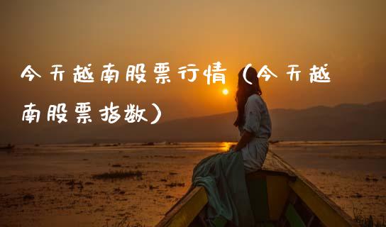 今天越南股票行情（今天越南股票指数）_https://www.ltsssb.com_股市分析_第1张