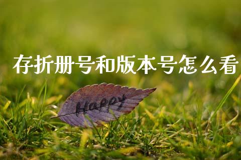 存折册号和版本号怎么看_https://www.ltsssb.com_股票理论_第1张