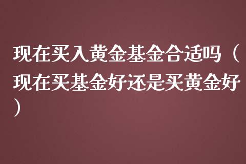 现在买入黄金基金合适吗（现在买基金好还是买黄金好）_https://www.ltsssb.com_国际财经_第1张