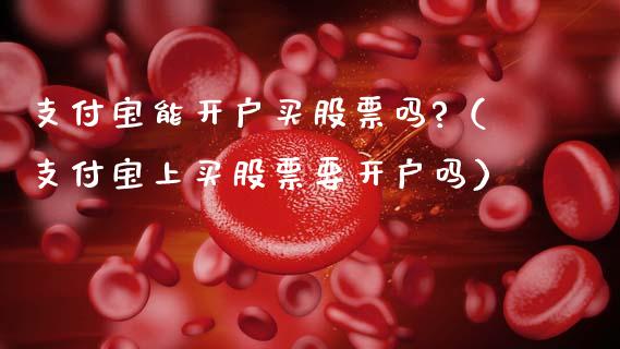 支付宝能开户买股票吗?（支付宝上买股票要开户吗）_https://www.ltsssb.com_股票理论_第1张