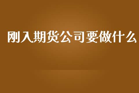 刚入期货公司要做什么_https://www.ltsssb.com_国际财经_第1张
