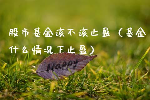 股市基金该不该止盈（基金什么情况下止盈）_https://www.ltsssb.com_基金频道_第1张