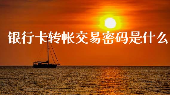 银行卡转帐交易密码是什么_https://www.ltsssb.com_新股数据_第1张