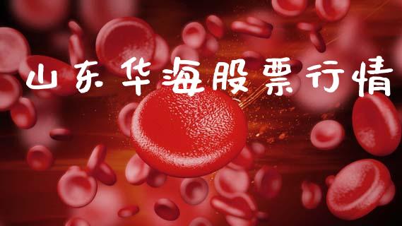 山东华海股票行情_https://www.ltsssb.com_新股数据_第1张