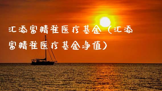 汇添富精准医疗基金（汇添富精准医疗基金净值）_https://www.ltsssb.com_基金频道_第1张