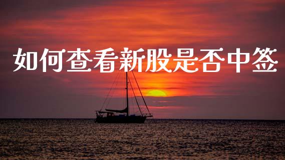 如何查看新股是否中签_https://www.ltsssb.com_期货在线_第1张