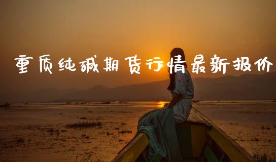重质纯碱期货行情最新报价_https://www.ltsssb.com_期货密码_第1张