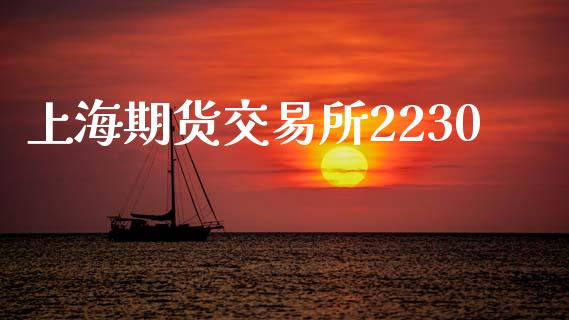 上海期货交易所2230_https://www.ltsssb.com_股市分析_第1张