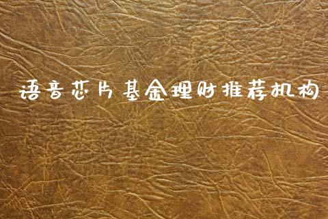 语音芯片基金理财推荐机构_https://www.ltsssb.com_基金频道_第1张