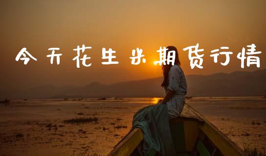 今天花生米期货行情_https://www.ltsssb.com_期货行情_第1张