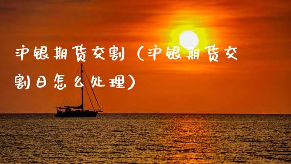 沪银期货交割（沪银期货交割日怎么处理）_https://www.ltsssb.com_期货密码_第1张