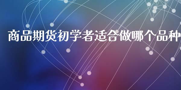 商品期货初学者适合做哪个品种_https://www.ltsssb.com_基金频道_第1张