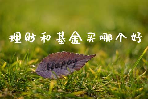 理财和基金买哪个好_https://www.ltsssb.com_基金频道_第1张
