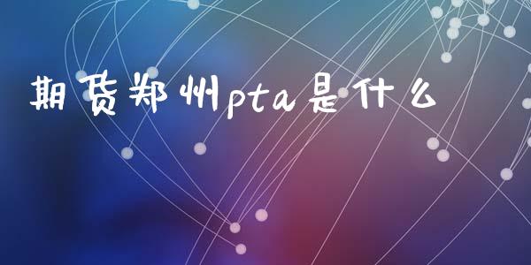 期货郑州pta是什么_https://www.ltsssb.com_股票理论_第1张