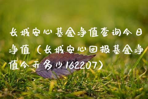 长城安心基金净值查询今日净值（长城安心回报基金净值今天多少162207）_https://www.ltsssb.com_国际财经_第1张