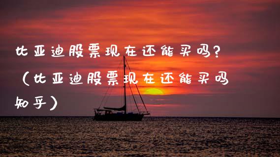 比亚迪股票现在还能买吗?（比亚迪股票现在还能买吗知乎）_https://www.ltsssb.com_股市分析_第1张
