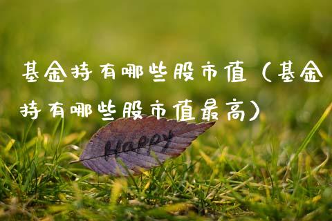 基金持有哪些股市值（基金持有哪些股市值最高）_https://www.ltsssb.com_基金频道_第1张
