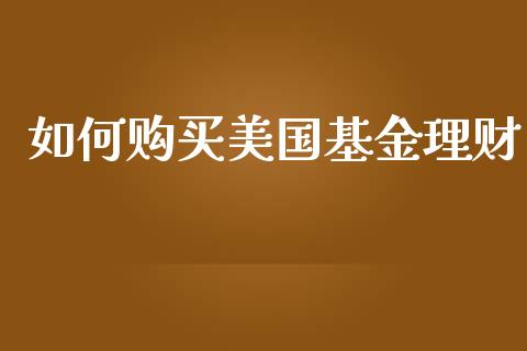 如何购买美国基金理财_https://www.ltsssb.com_基金频道_第1张